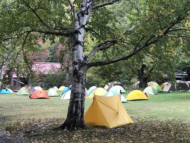 f:id:mistysonata:20190511191821j:plain f:id:mistysonata:20190511191821j:plain