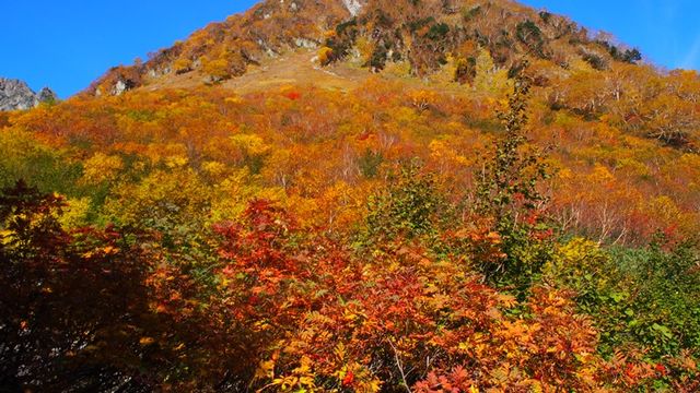 f:id:mistysonata:20190512175829j:plain f:id:mistysonata:20190512175829j:plain