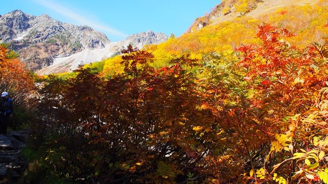 f:id:mistysonata:20190512175844j:plain f:id:mistysonata:20190512175844j:plain