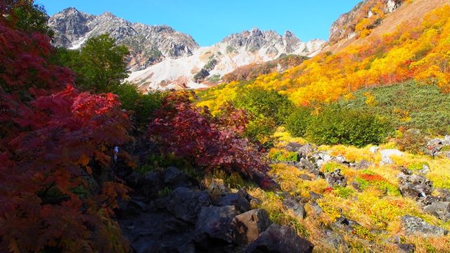 f:id:mistysonata:20190512175853j:plain f:id:mistysonata:20190512175853j:plain