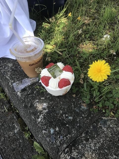 f:id:mistysonata:20190513060656j:plain