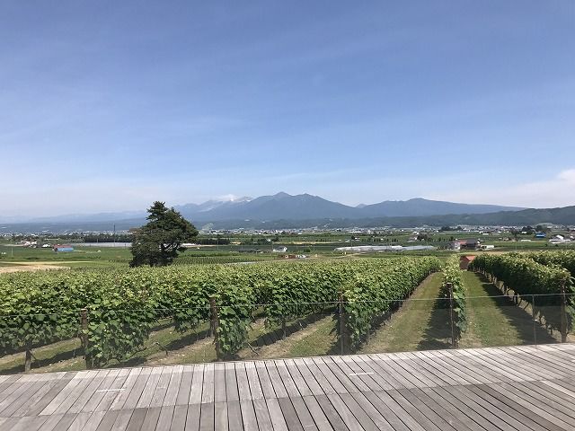 f:id:mistysonata:20190513061024j:plain