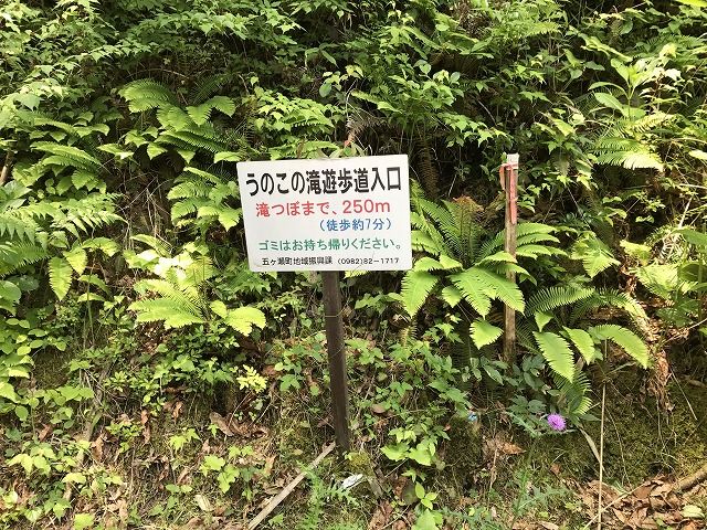 f:id:mistysonata:20190516200740j:plain f:id:mistysonata:20190516200740j:plain