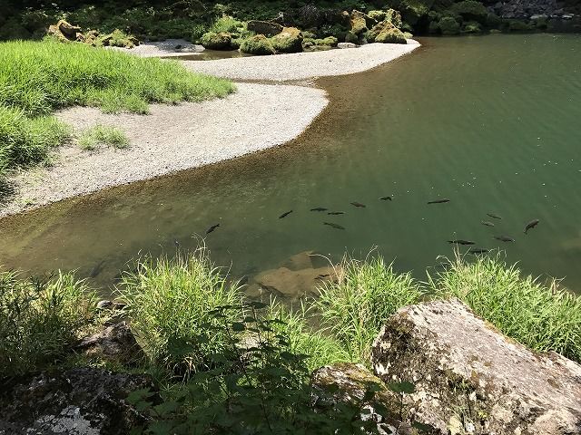 f:id:mistysonata:20190516200807j:plain f:id:mistysonata:20190516200807j:plain