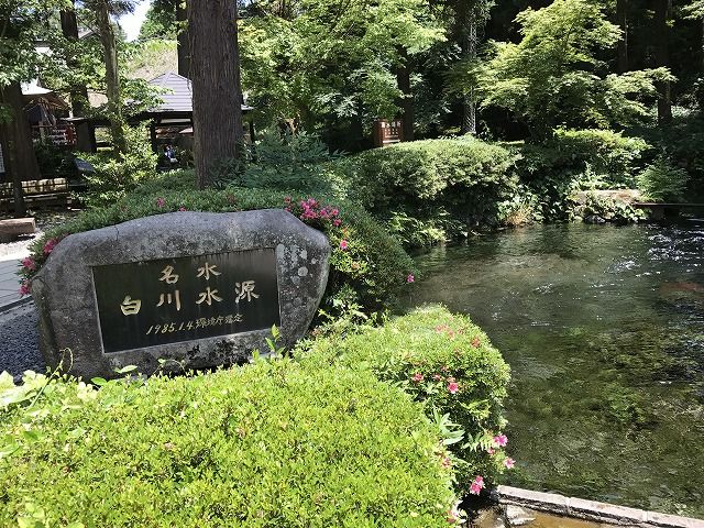 f:id:mistysonata:20190516200821j:plain f:id:mistysonata:20190516200821j:plain