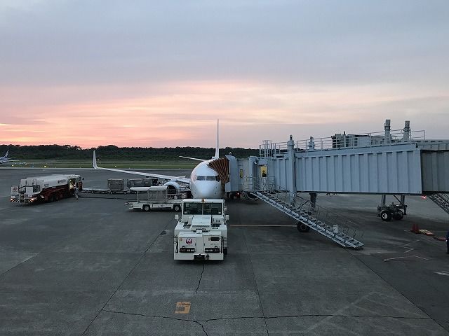 f:id:mistysonata:20190516201024j:plain f:id:mistysonata:20190516201024j:plain