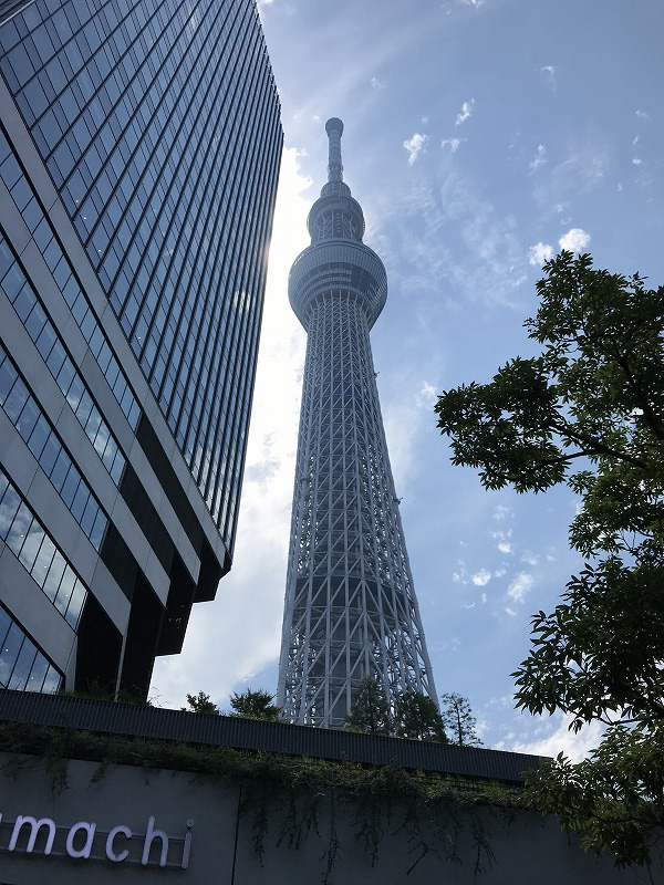 f:id:mistysonata:20190809192911j:plain