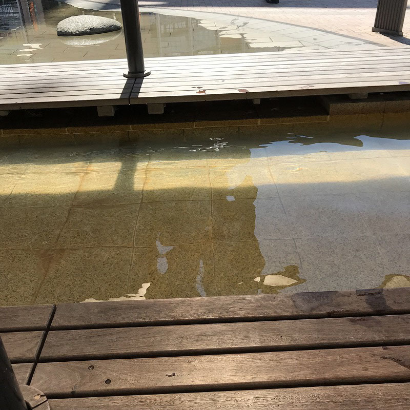 f:id:mistysonata:20190914063428j:plain f:id:mistysonata:20190914063428j:plain