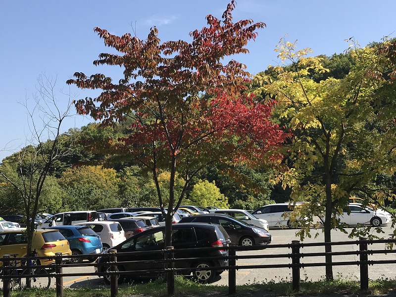 f:id:mistysonata:20191008052749j:plain