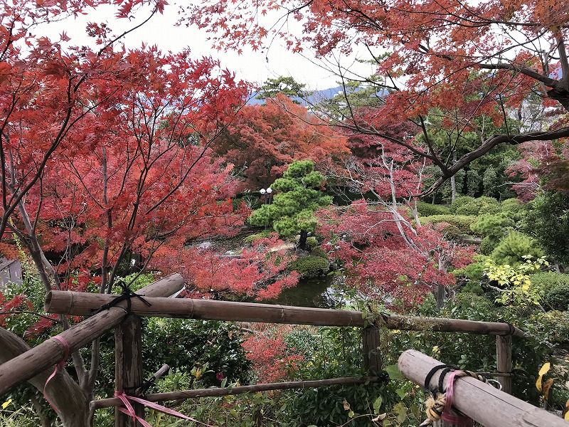 f:id:mistysonata:20191207181325j:plain f:id:mistysonata:20191207181325j:plain