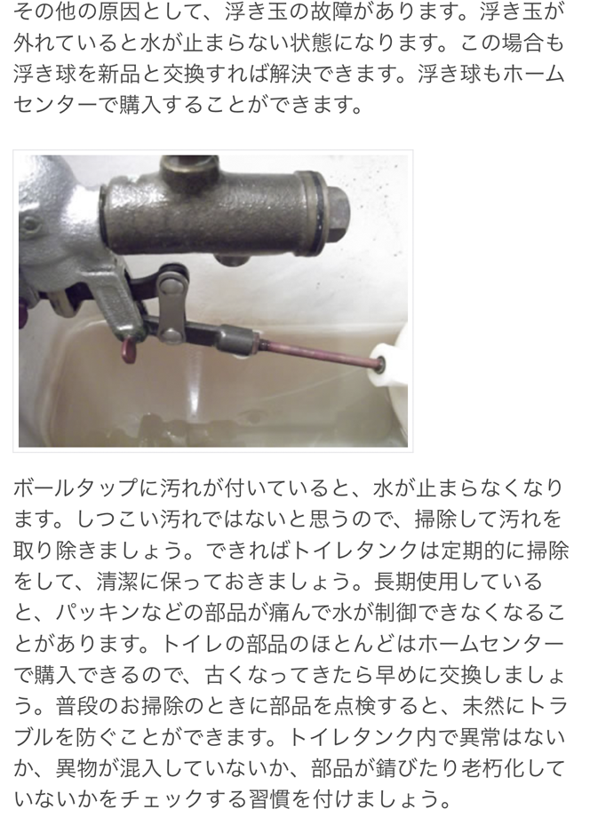 f:id:mistysonata:20200211080300p:plain f:id:mistysonata:20200211080300p:plain