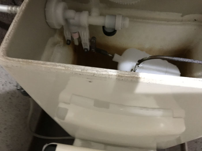 f:id:mistysonata:20200211080602j:plain f:id:mistysonata:20200211080602j:plain