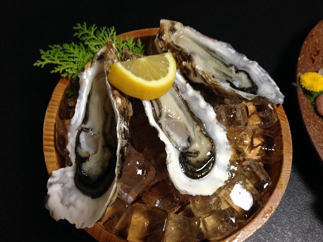 f:id:mistysonata:20200212164026j:plain