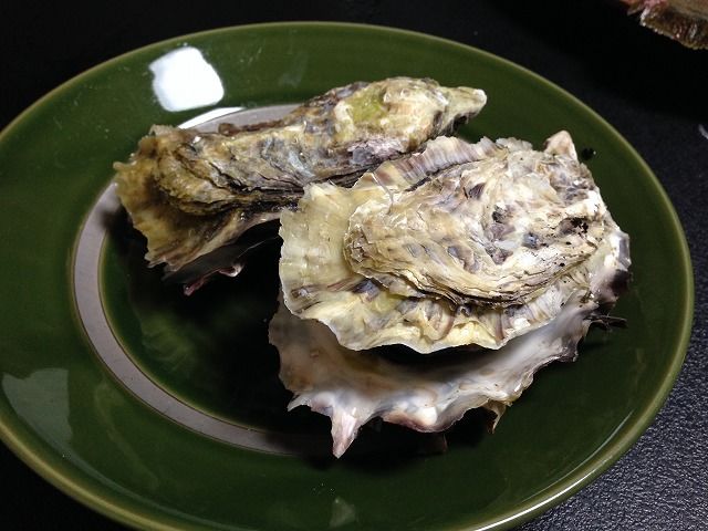 f:id:mistysonata:20200212164044j:plain