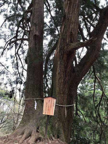 f:id:mistysonata:20200418182323j:plain