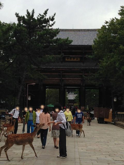 f:id:mistysonata:20200501084740j:plain