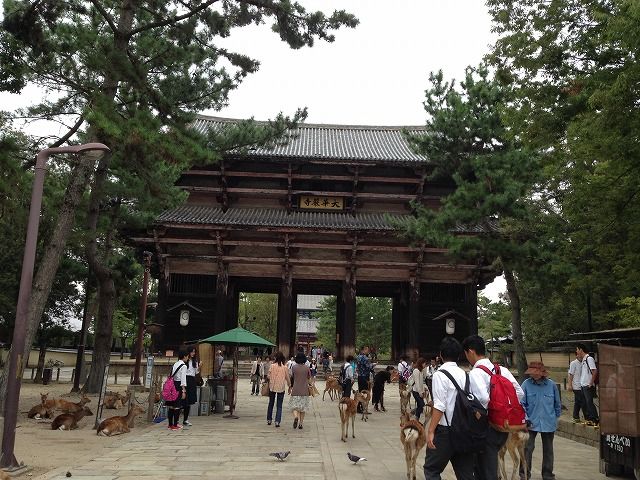 f:id:mistysonata:20200501084750j:plain