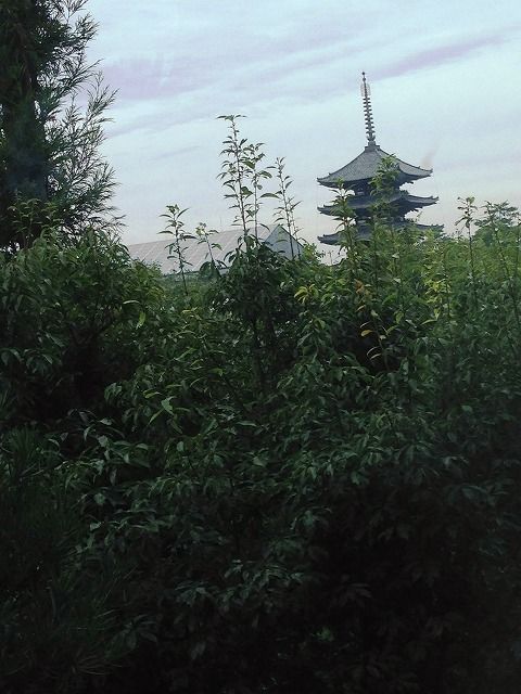 f:id:mistysonata:20200501091739j:plain f:id:mistysonata:20200501091739j:plain