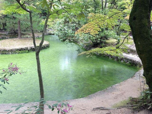 f:id:mistysonata:20200501093033j:plain f:id:mistysonata:20200501093033j:plain