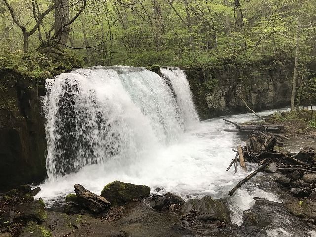 f:id:mistysonata:20200525071624j:plain