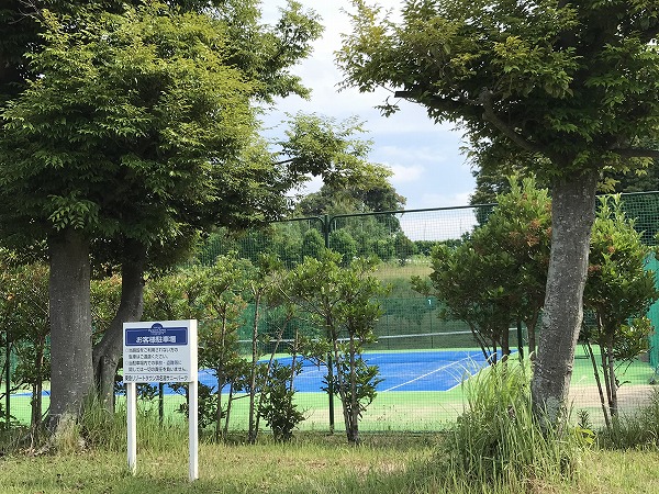 f:id:mistysonata:20200617141247j:plain