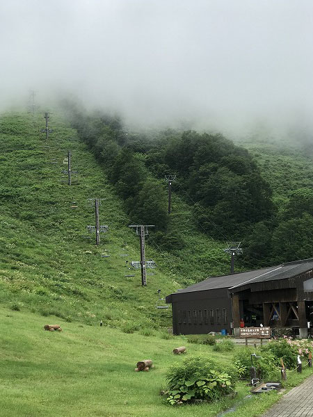 f:id:mistysonata:20200719080030j:plain