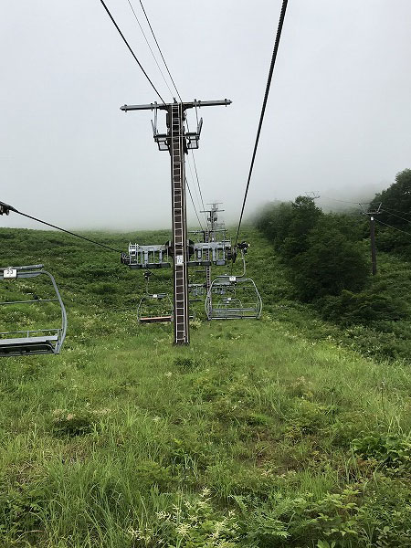 f:id:mistysonata:20200719080151j:plain