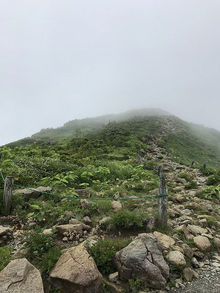 f:id:mistysonata:20200719083201j:plain