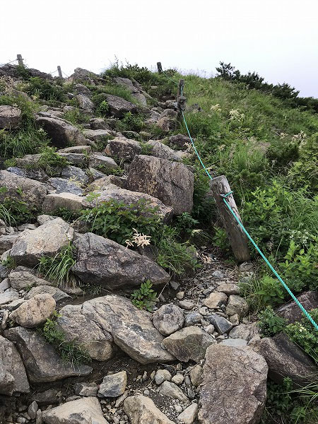 f:id:mistysonata:20200719083436j:plain