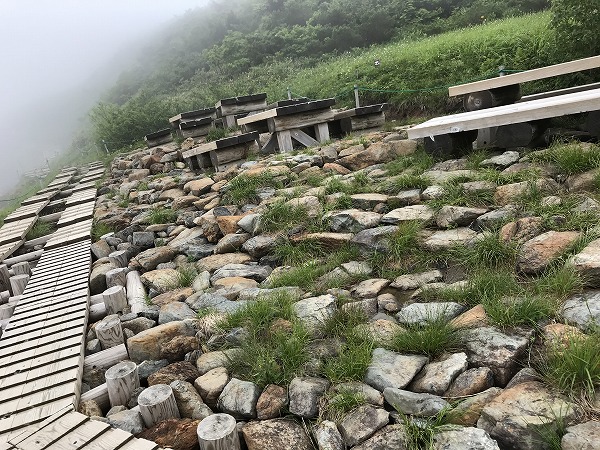 f:id:mistysonata:20200719084100j:plain