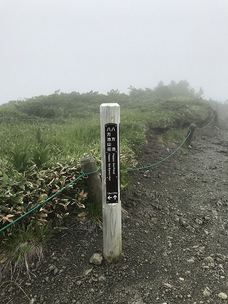 f:id:mistysonata:20200719084407j:plain