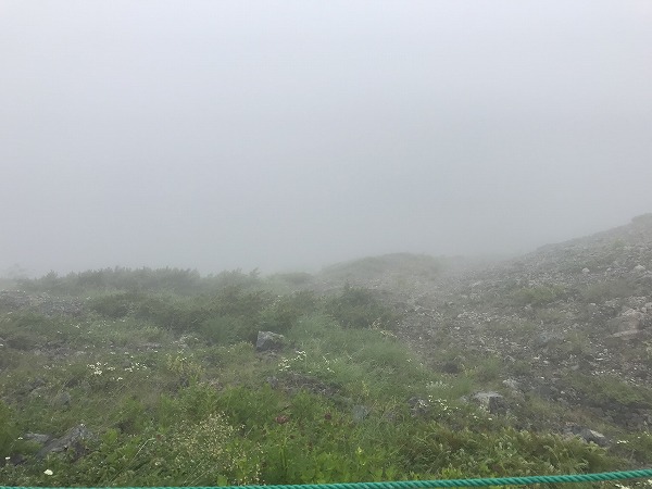 f:id:mistysonata:20200719085449j:plain