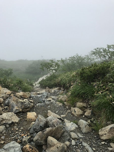 f:id:mistysonata:20200719085734j:plain