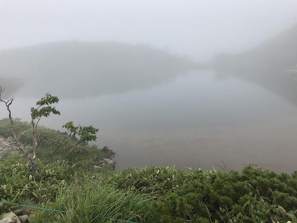 f:id:mistysonata:20200719085917j:plain