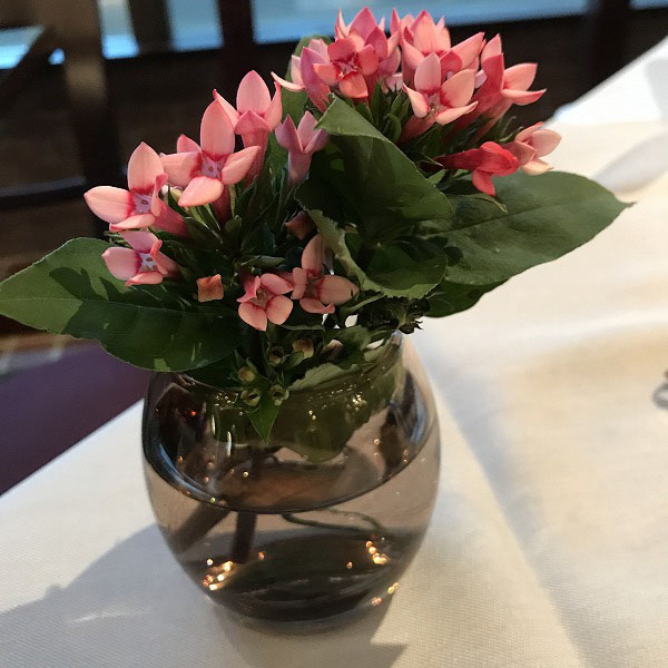 f:id:mistysonata:20200720081145j:plain f:id:mistysonata:20200720081145j:plain