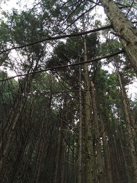 f:id:mistysonata:20201011181624j:plain