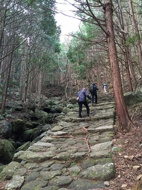 f:id:mistysonata:20201011181634j:plain