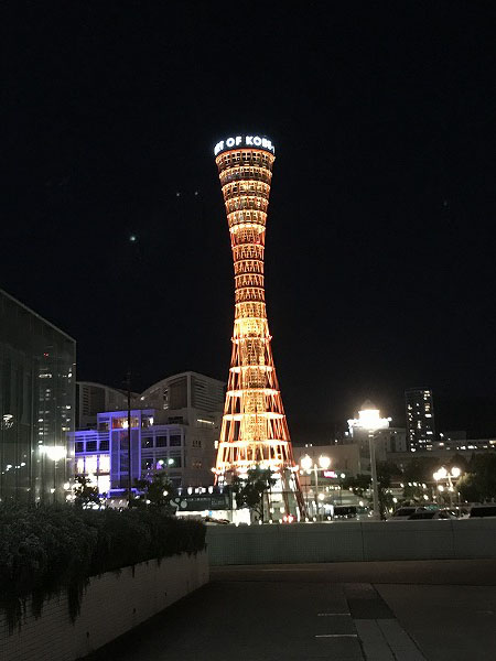 f:id:mistysonata:20201105055121j:plain f:id:mistysonata:20201105055121j:plain