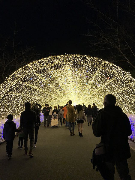 f:id:mistysonata:20201120055719j:plain