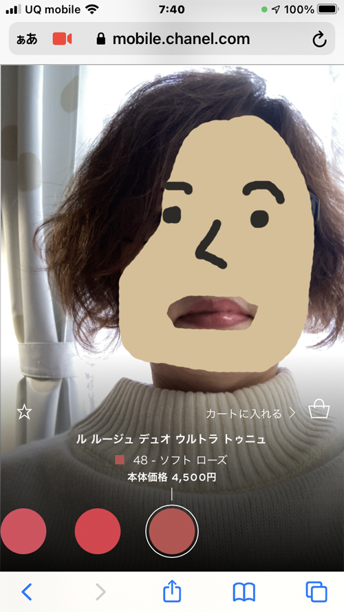 f:id:mistysonata:20210217060710p:plain