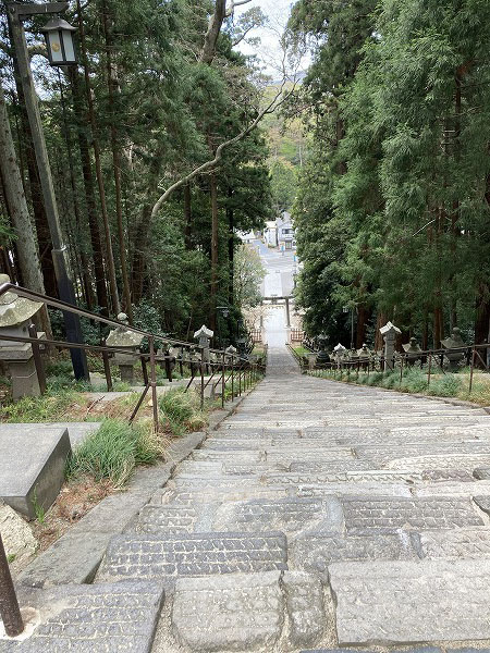 f:id:mistysonata:20210504070823j:plain