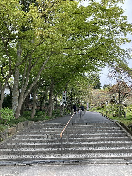 f:id:mistysonata:20210504071047j:plain