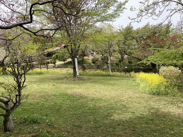 f:id:mistysonata:20210504071131j:plain