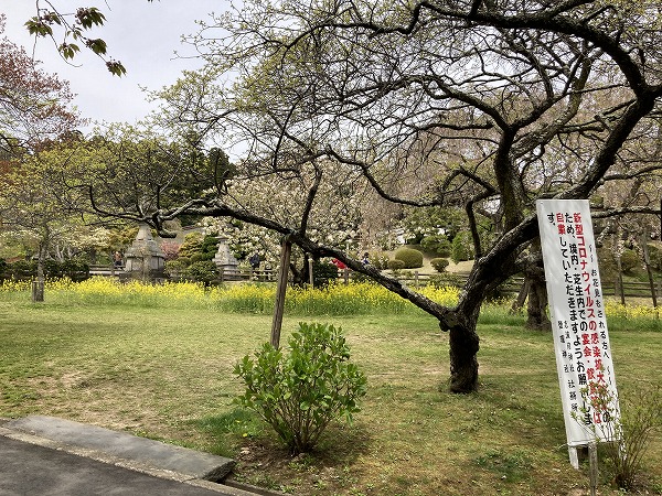 f:id:mistysonata:20210504071150j:plain