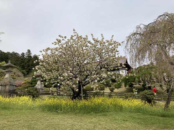 f:id:mistysonata:20210504071213j:plain