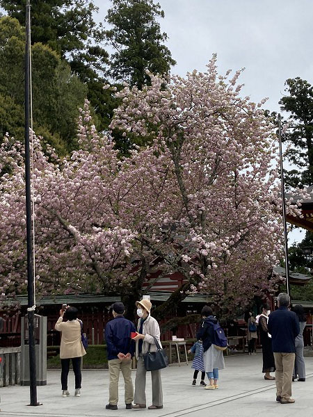 f:id:mistysonata:20210504072917j:plain