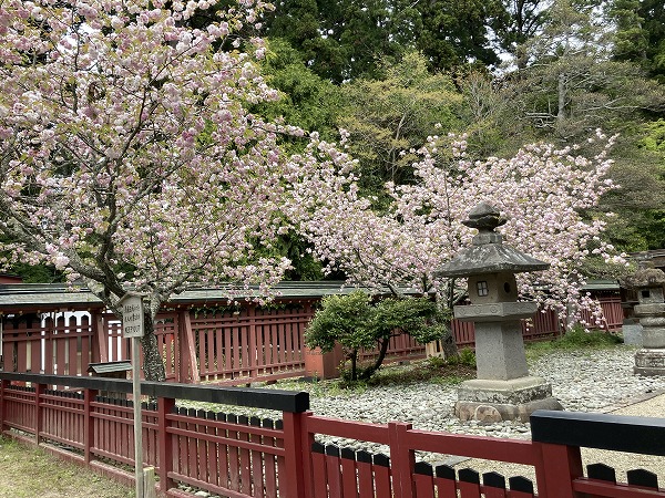 f:id:mistysonata:20210504072935j:plain