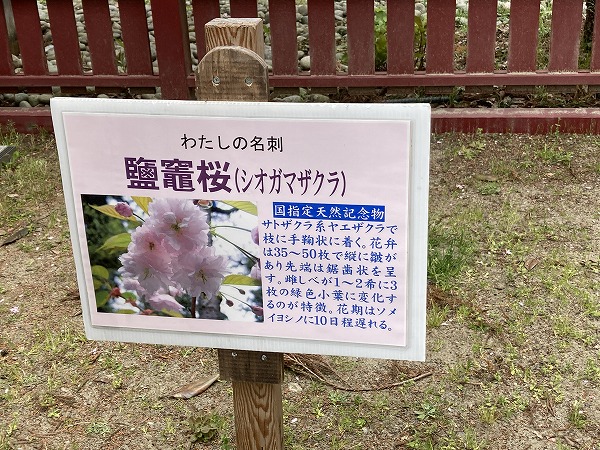 f:id:mistysonata:20210504072953j:plain