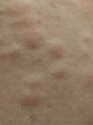 f:id:mistysonata:20210913055113j:plain