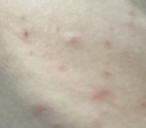 f:id:mistysonata:20210913055148j:plain